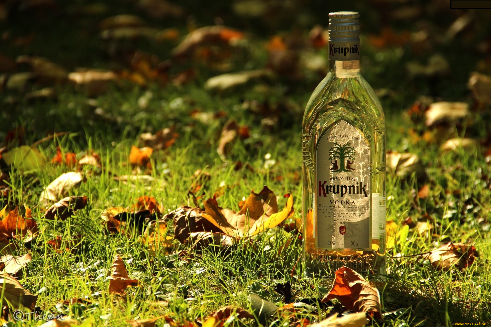 Бутылка водки в лесу